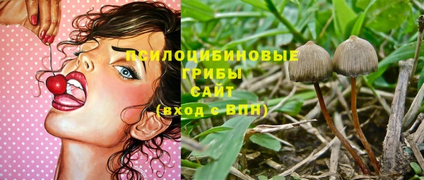 прущие грибы Армянск